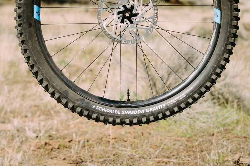 shredda Schwalbe Shredda Gravity Tire Review - Winter Tire Test