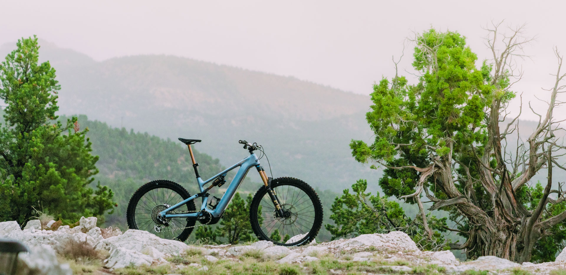 TLW_Specialized_Levo_SWORKS-5051 2025 eMTB Shootout Extended Gallery