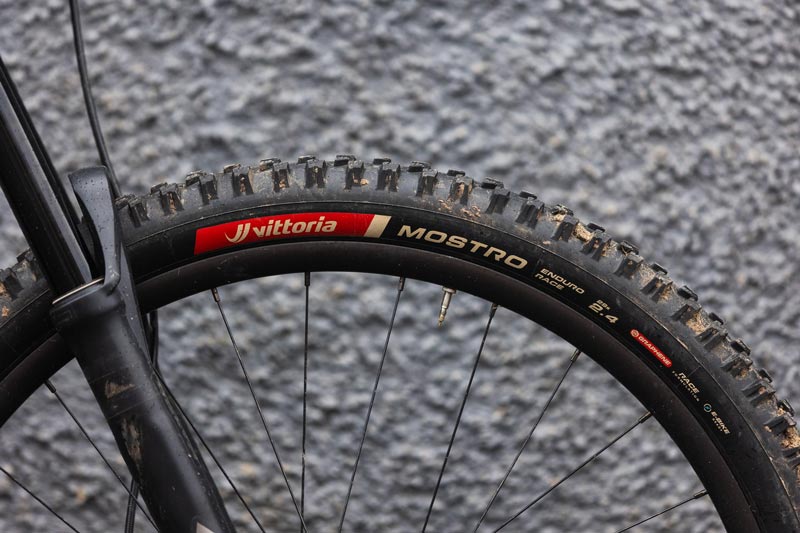 Review: Vittoria Mostro Enduro Tire