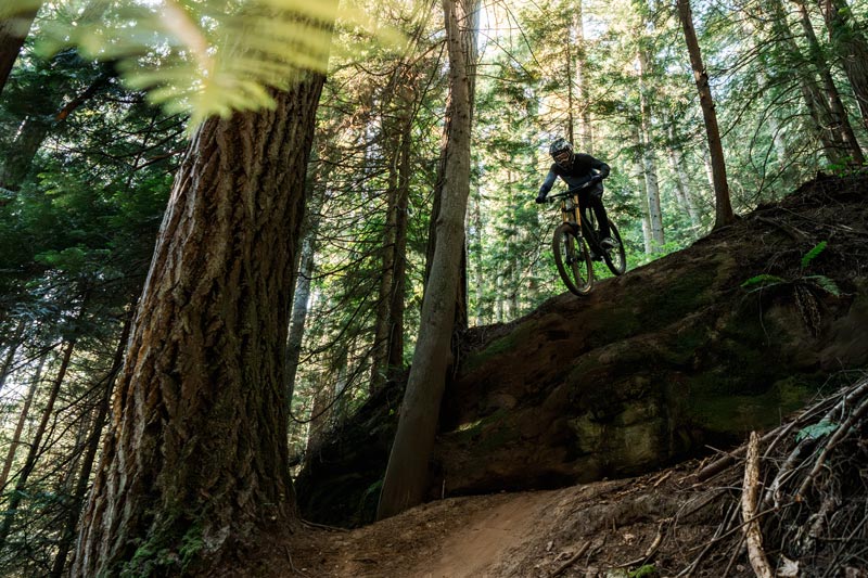 The New Orbea Rallon - 2 Bikes in 1