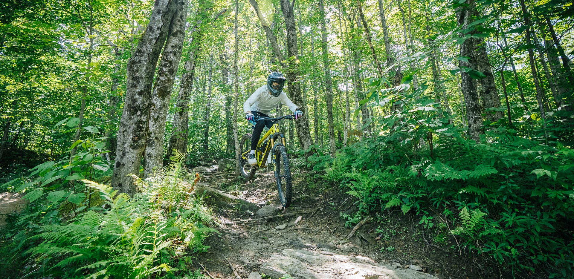 Killington Mountain Bike Park Review
