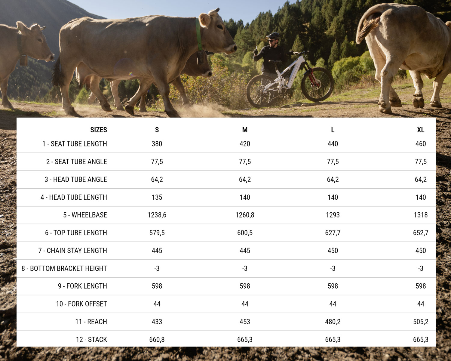 Commencal Meta Power SX 800 Review