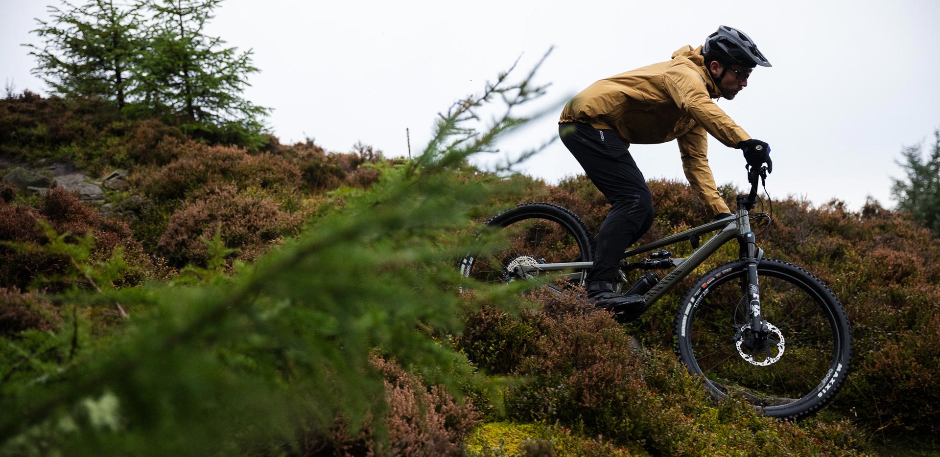 Canyon Spectral AL 6 Review