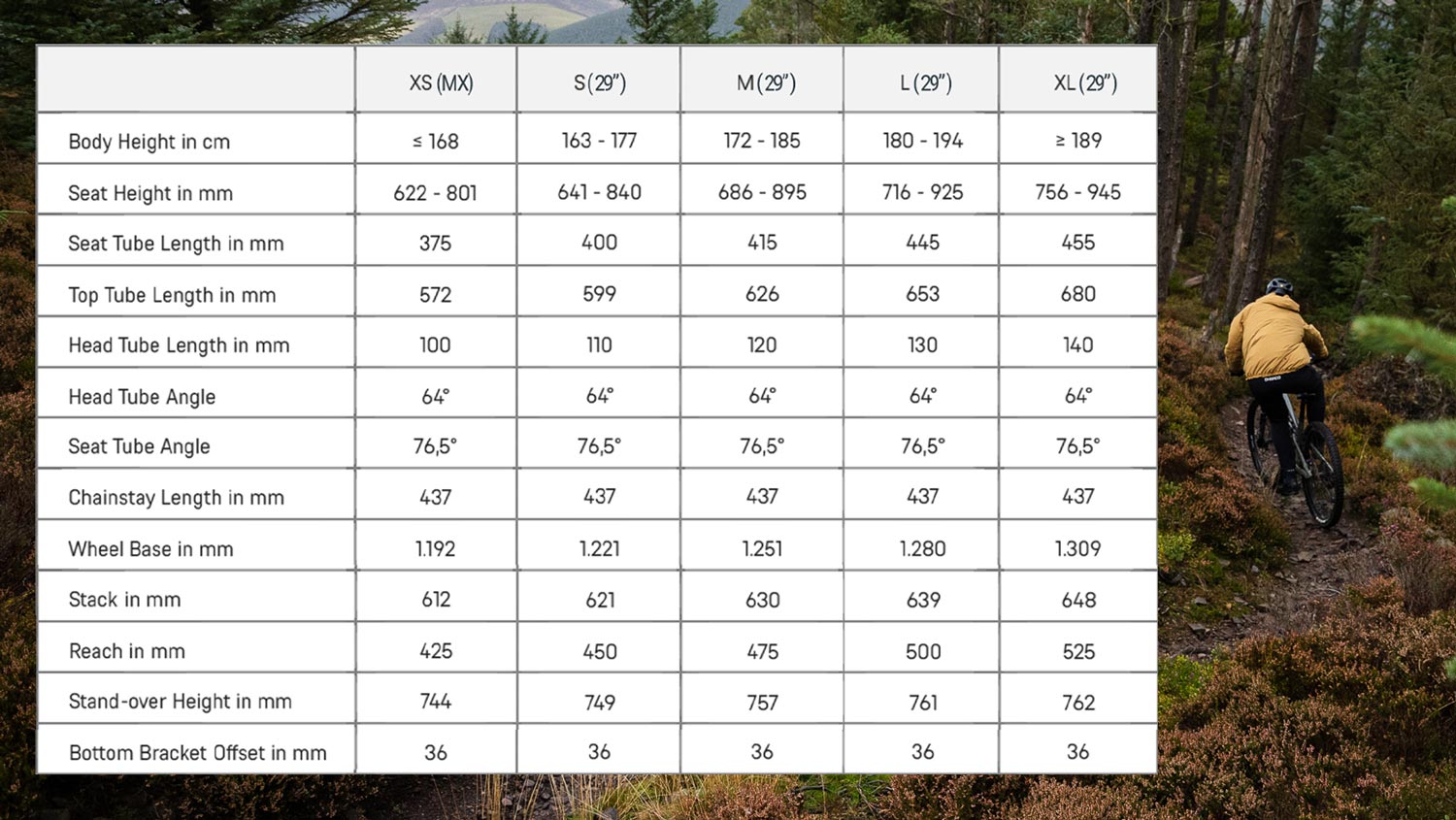 Canyon Spectral AL 6 Geometry