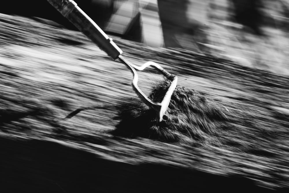 RAMPAGE-SATURDAY-9866