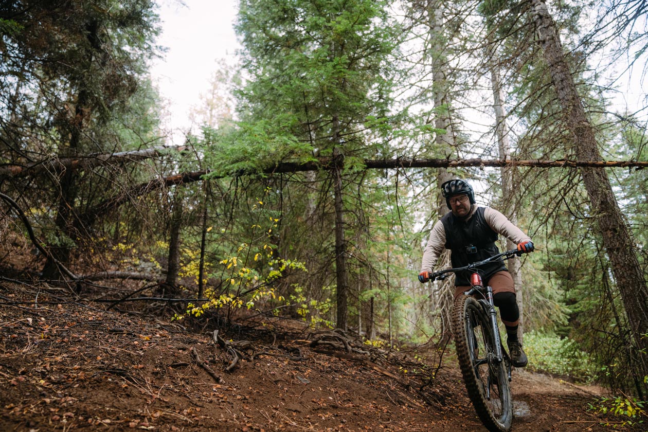 TLW_Polygon_Collosus-T-8168 Polygon Collosus T Mountain Bike Dissected