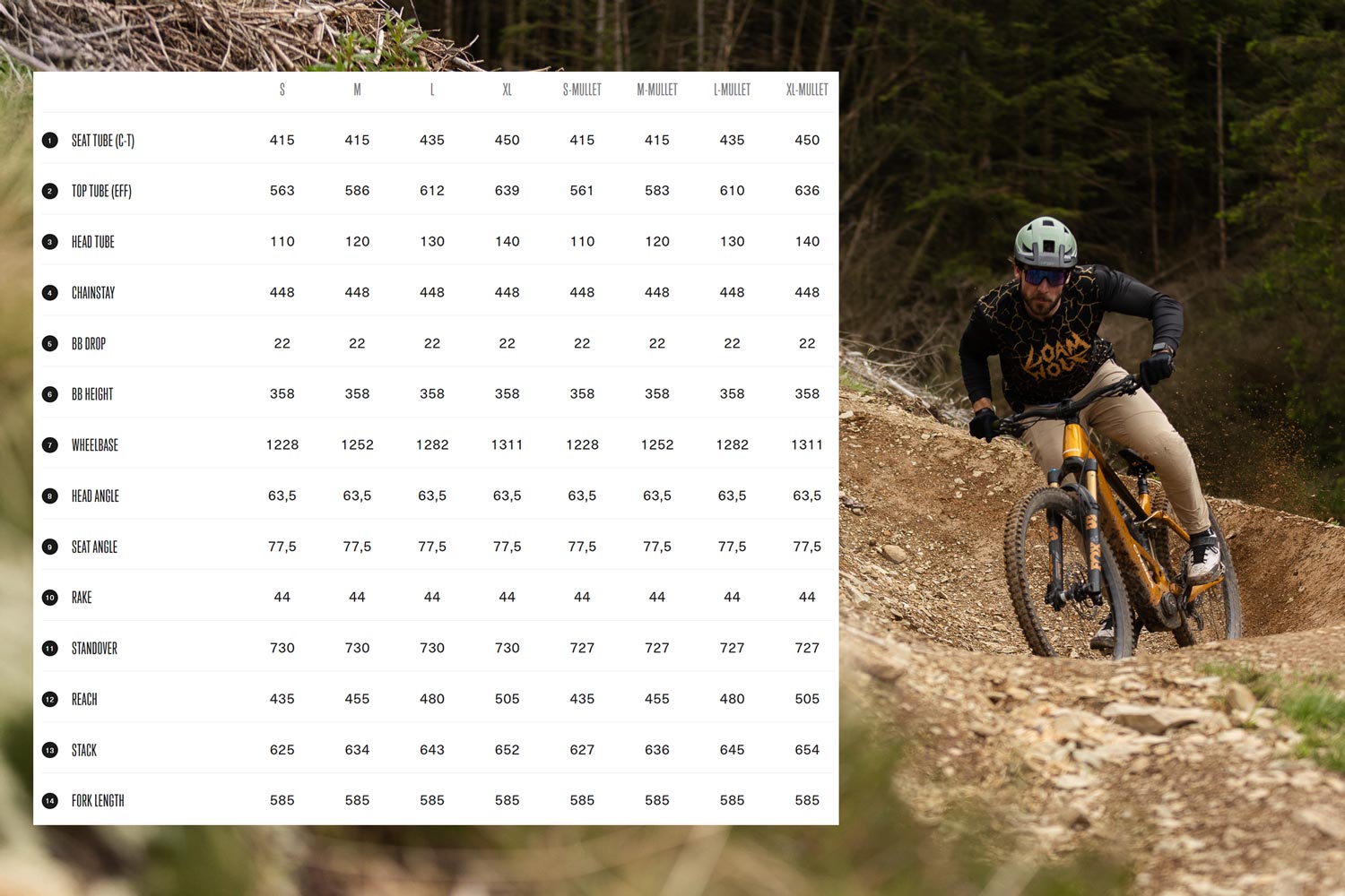 Orbea Wild H eMTB Review