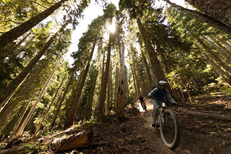 SCM_TT_CASCADES_FULL-180