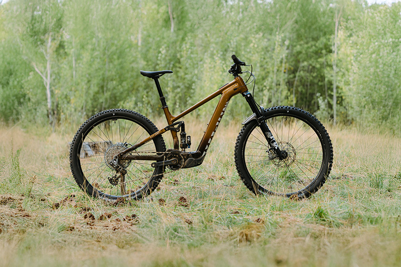 Marin Rift Zone EL Review | 2025 eMTB Lite Shootout