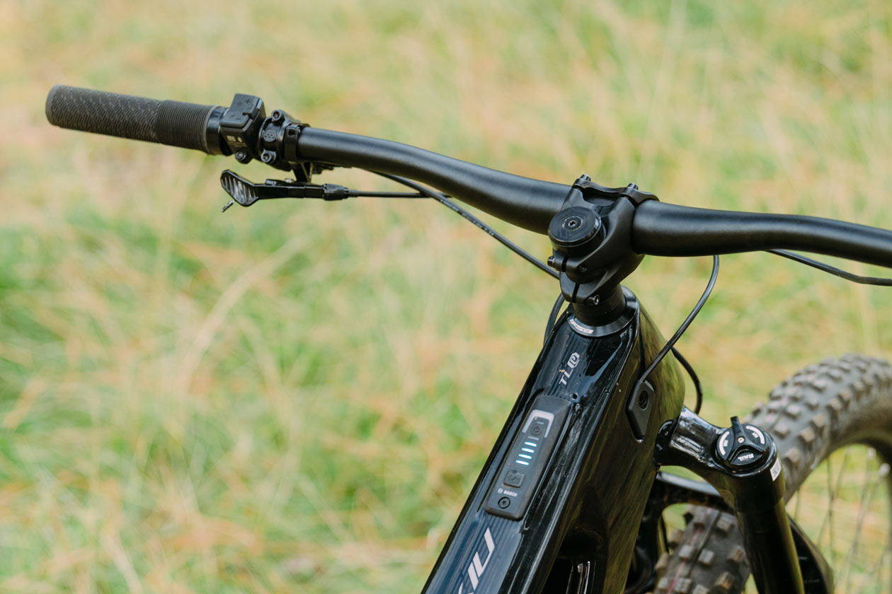 TLW_Pollygon_Collosus_TLE-8567