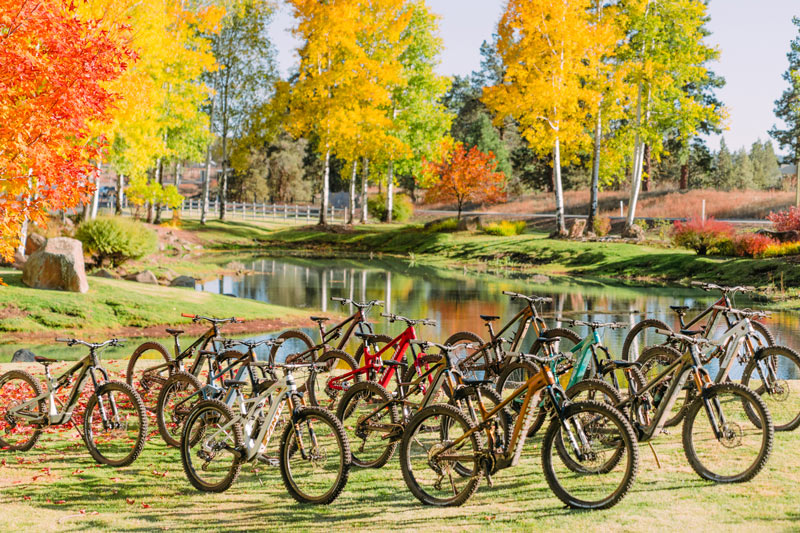 The 2025 Loam Wolf Lightweight eMTB Shootout