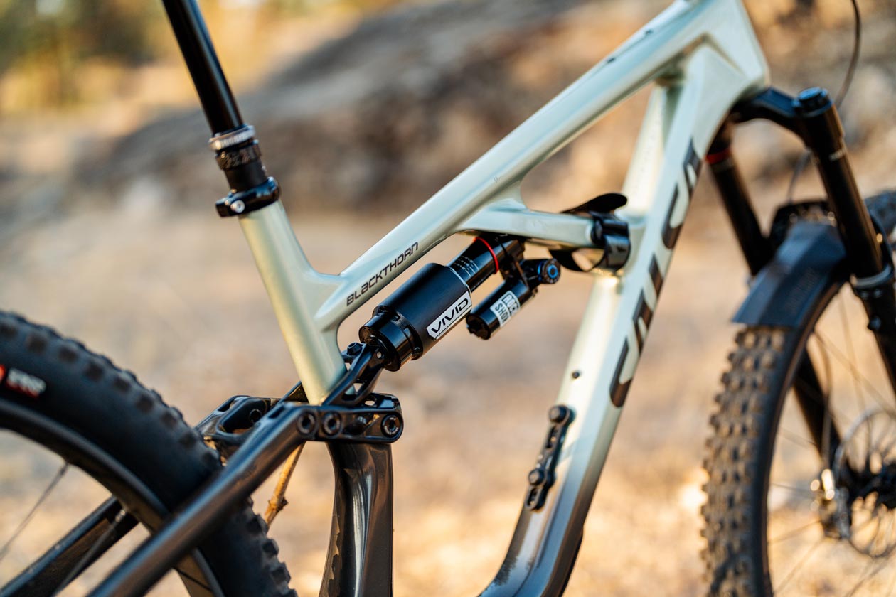 Salsa Blackthorn 145 Review