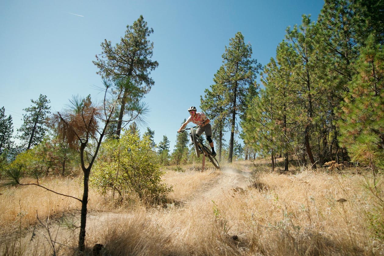 Salsa Blackthorn 145 Review