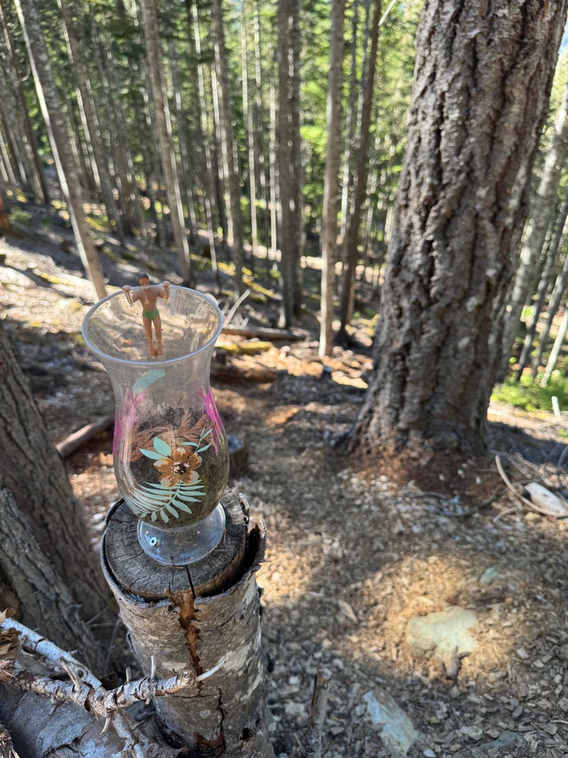 Photo-Aug-11-2025,-4-25-19-PM