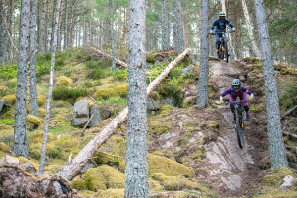 Trans Caledonia Entries Now Live