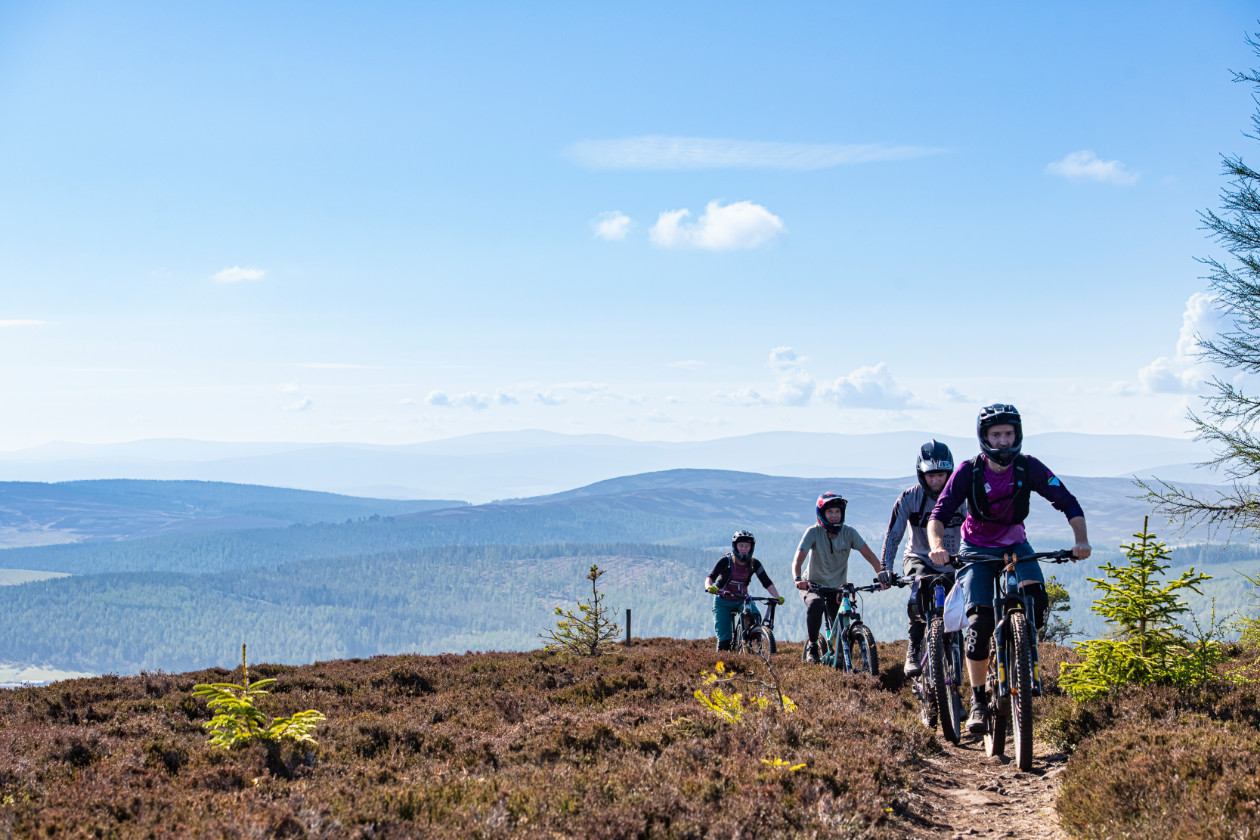 The New Thule Verse Hitch Rack Carrier