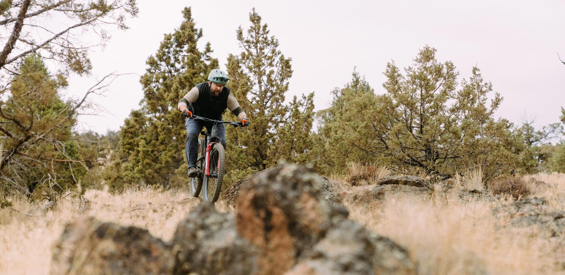 Propain Hugene CF Review