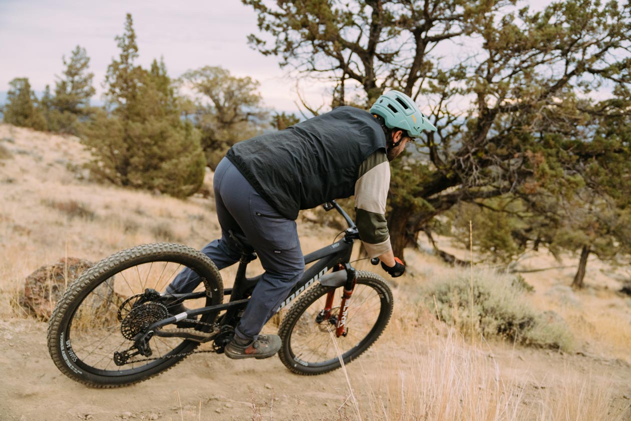 Propain Hugene CF Review