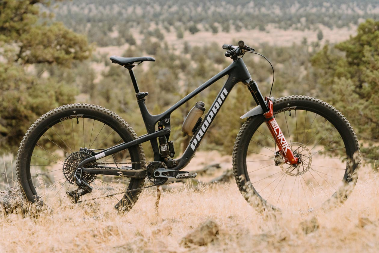 Propain Hugene CF Review