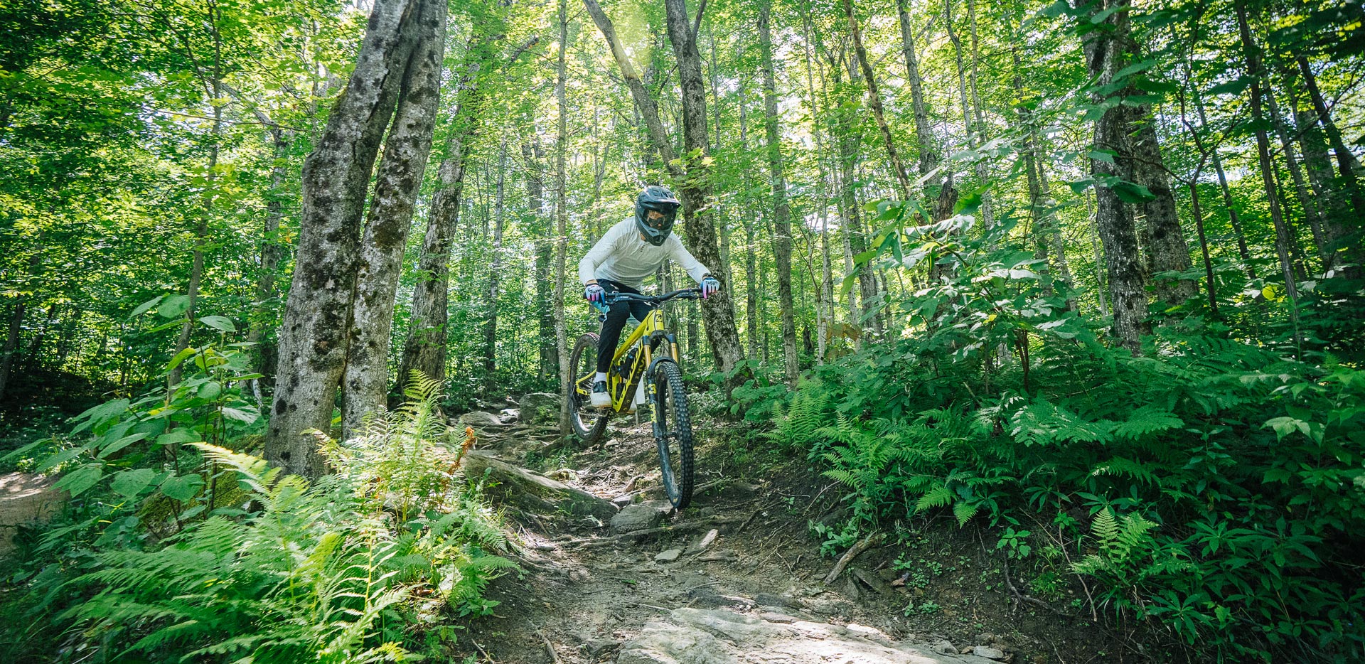 Pivot Firebird V5 Long-Term Review