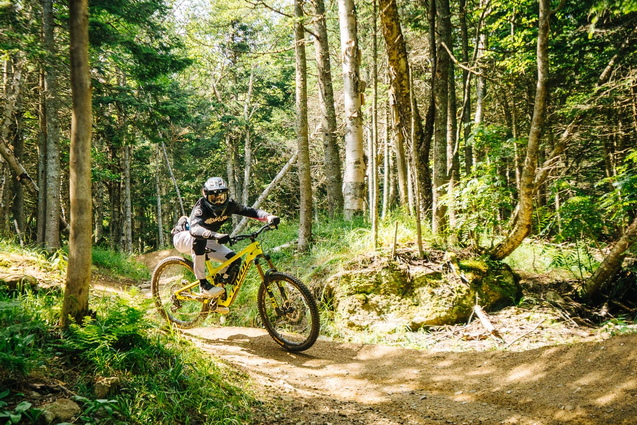 Pivot Firebird V5 Long-Term Review