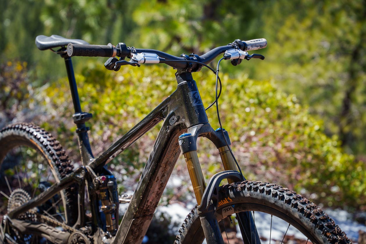 LW_Pivot-AMPED_Treeline-2