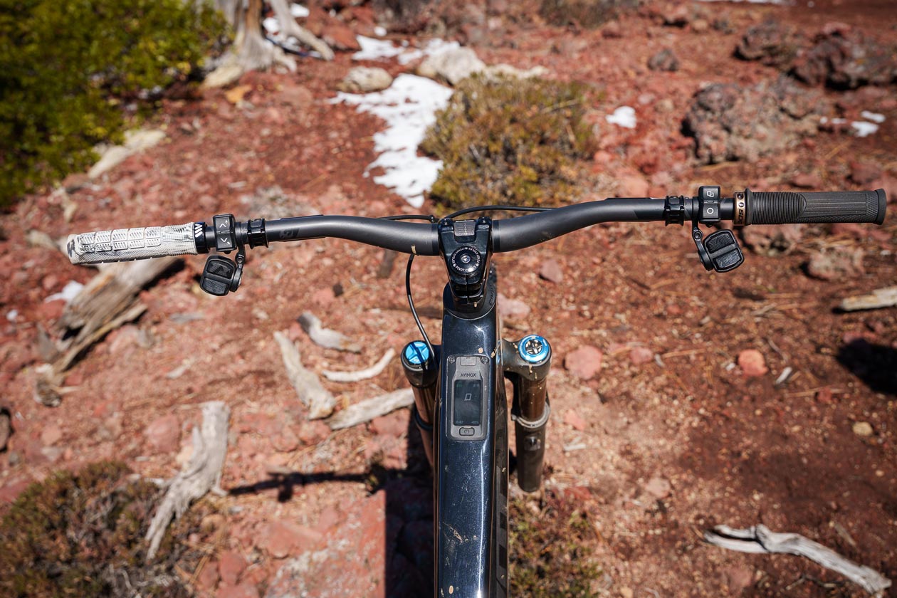 LW_Pivot-AMPED_Treeline-3