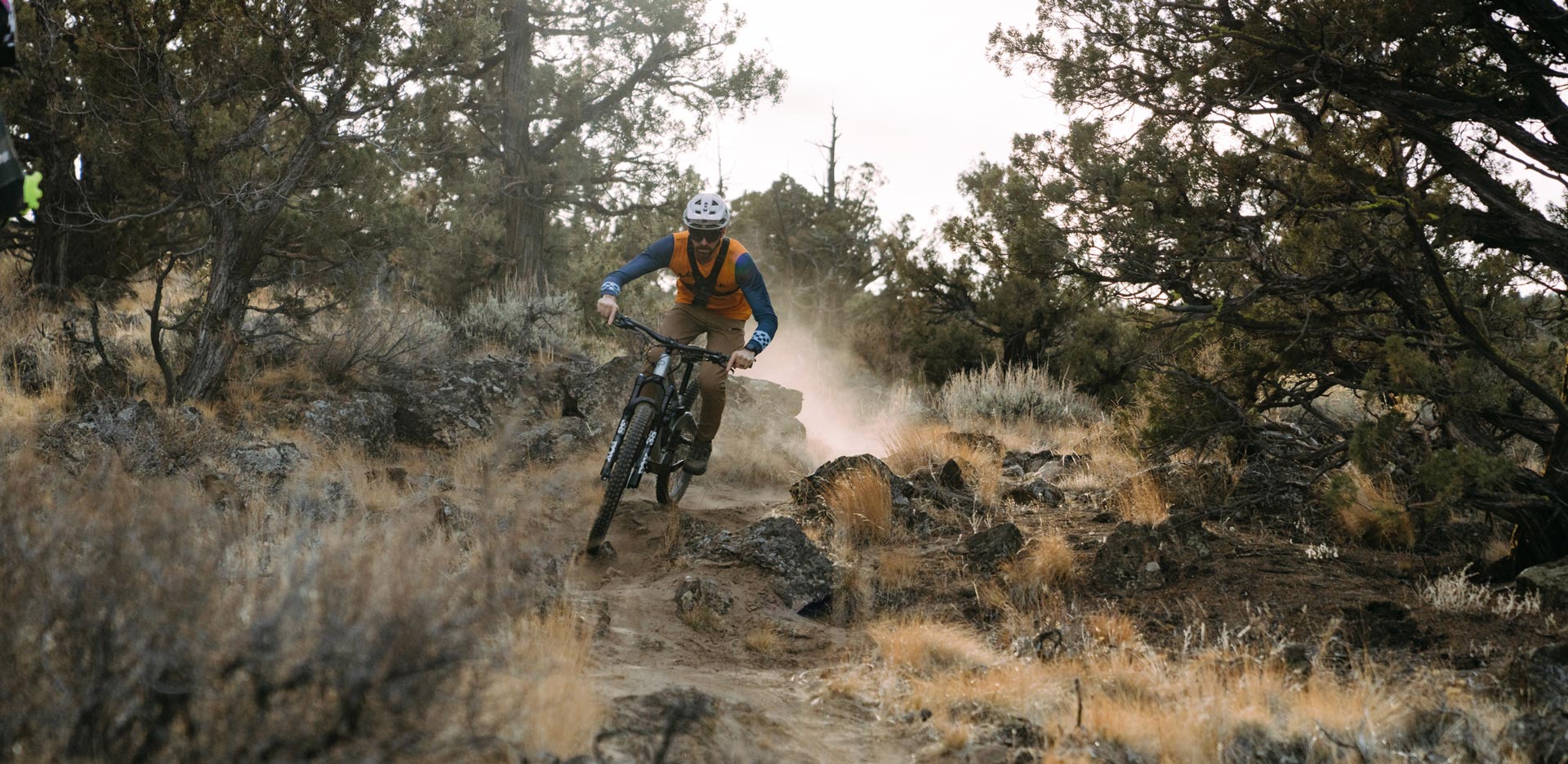 Priority Vanth MTB Review