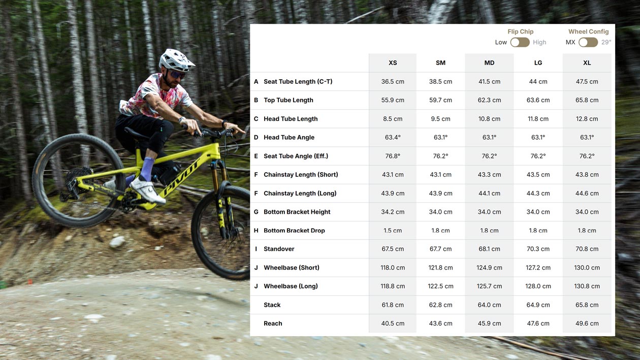 Pivot Firebird V5 Long-Term Review