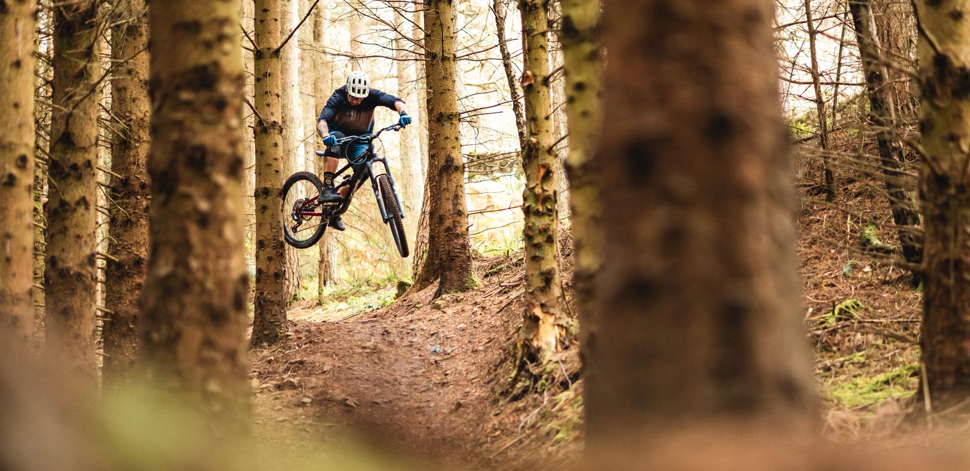 Zink Bikes Vacay Review