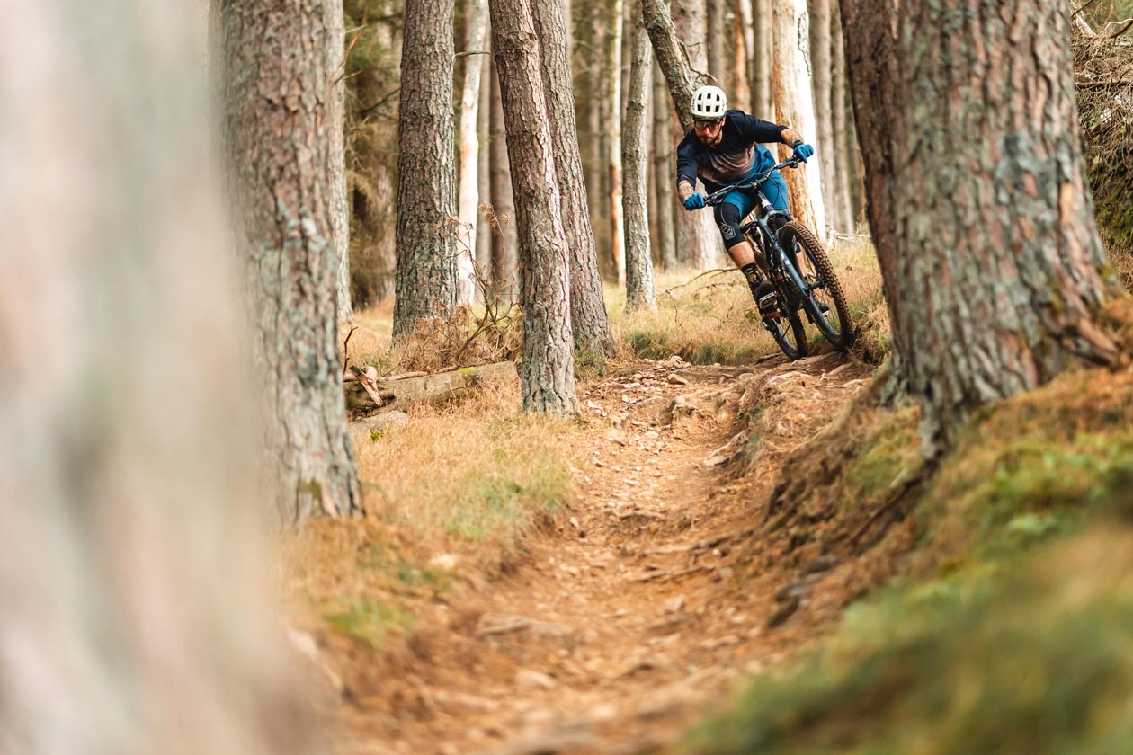 Zink Bikes Vacay Review