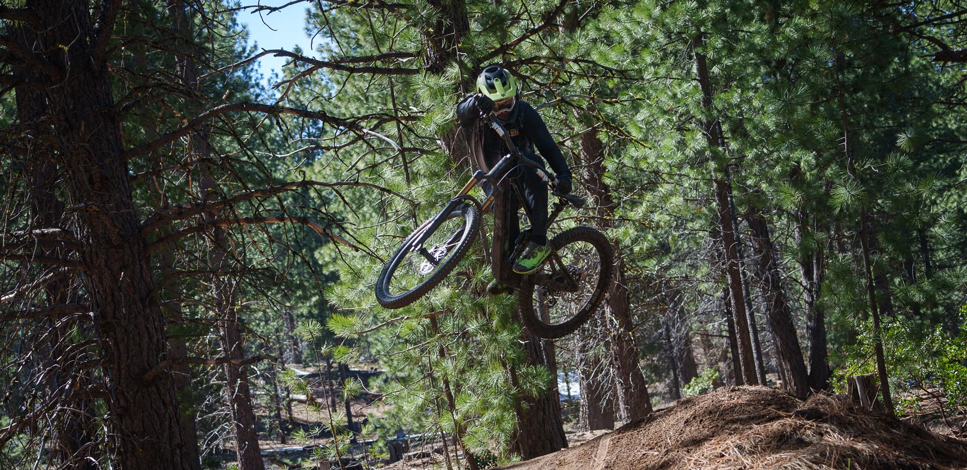 LW_Pivot-AMPED_Treeline-(17)