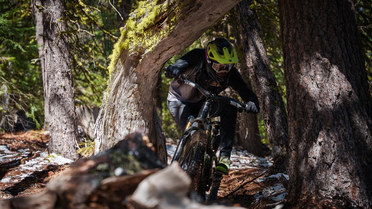 LW_Pivot-AMPED_Treeline-(19) Pivot Shuttle AMP'D First Ride Impressions