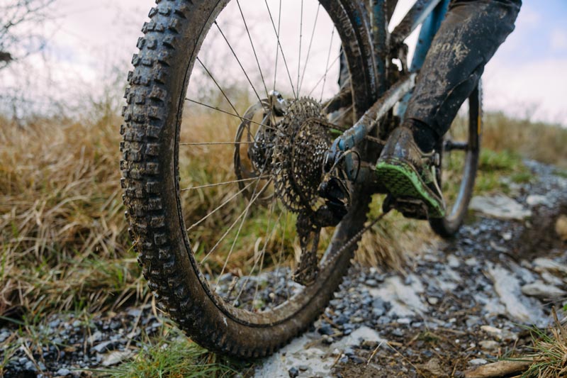 First Ride: Schwalbe Updated Tire Offerings for 2026