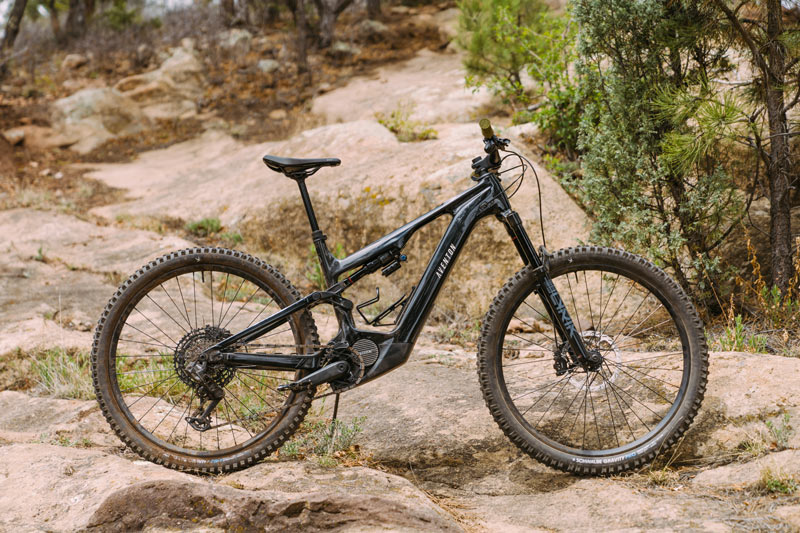 TLW_EMTB_Aventon_Current-4341 2026 eMTB Shootout - Aventon Current EXP