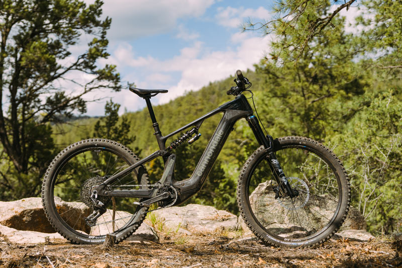 TLW_EMTB_Cannondale_Moterra-2721 2026 eMTB Shootout - Cannondale Moterra LT