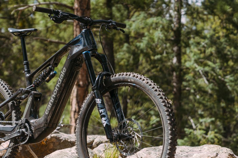 TLW_EMTB_Cannondale_Moterra-2723