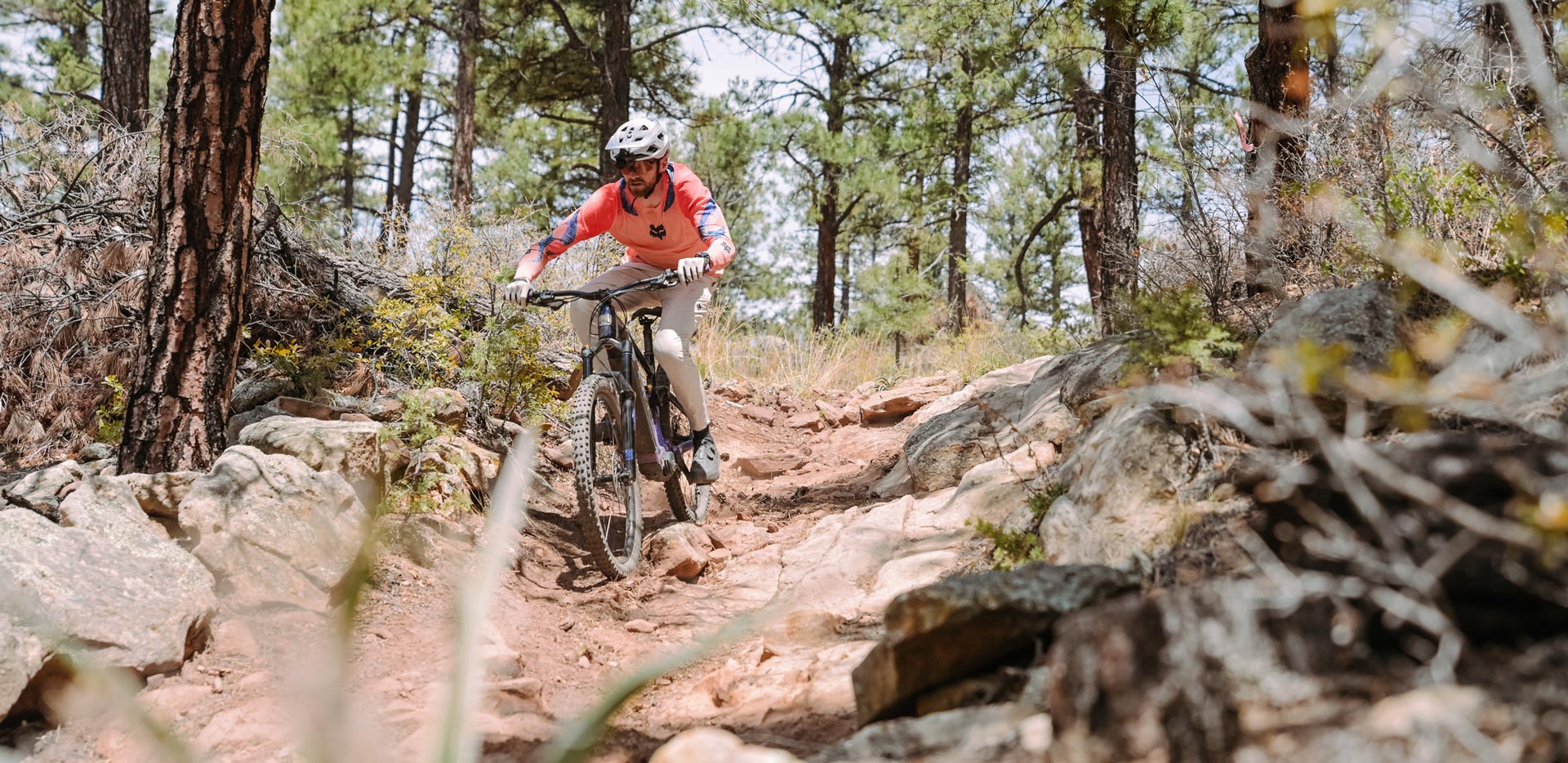 TLW_EMTB26-2383 Marin Alpine Trail E Review | 2026 eMTB Shootout