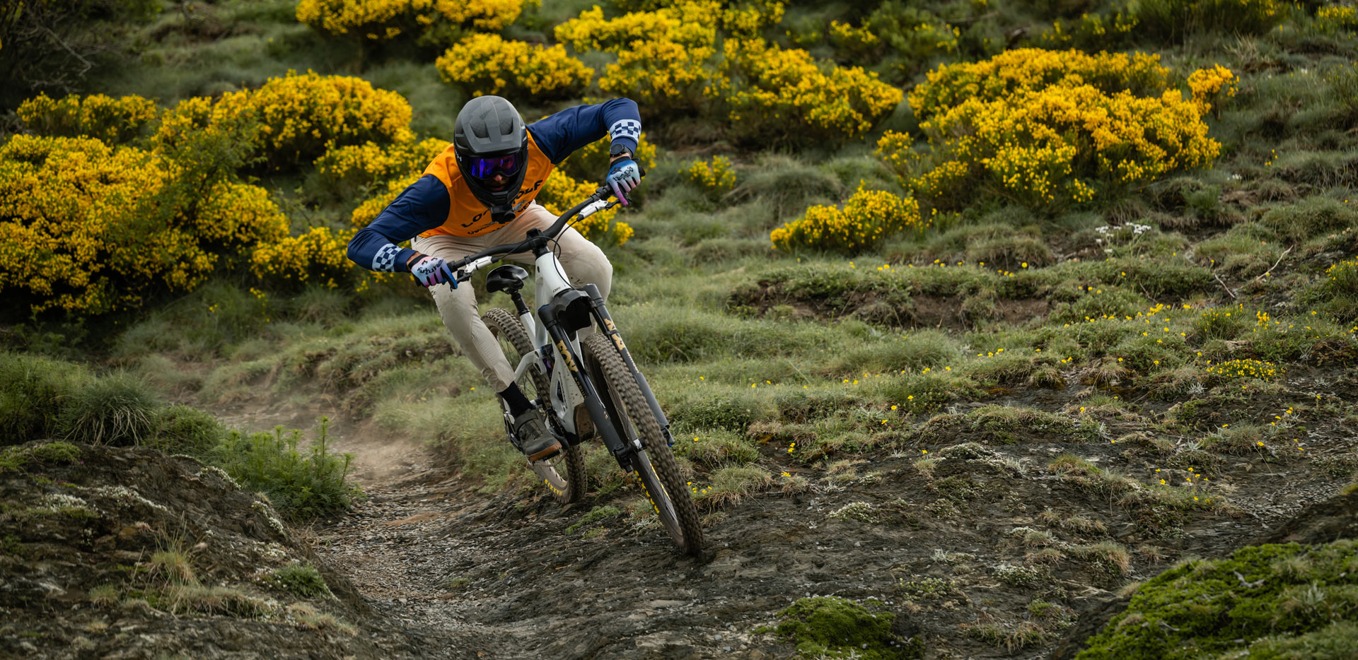 roofowler_RZ86557 Orbea Wild LT Dissected