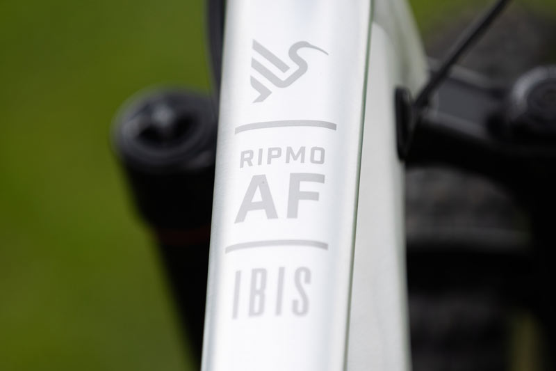 Ibis-ripmo-7861m Ibis Ripmo AF Review