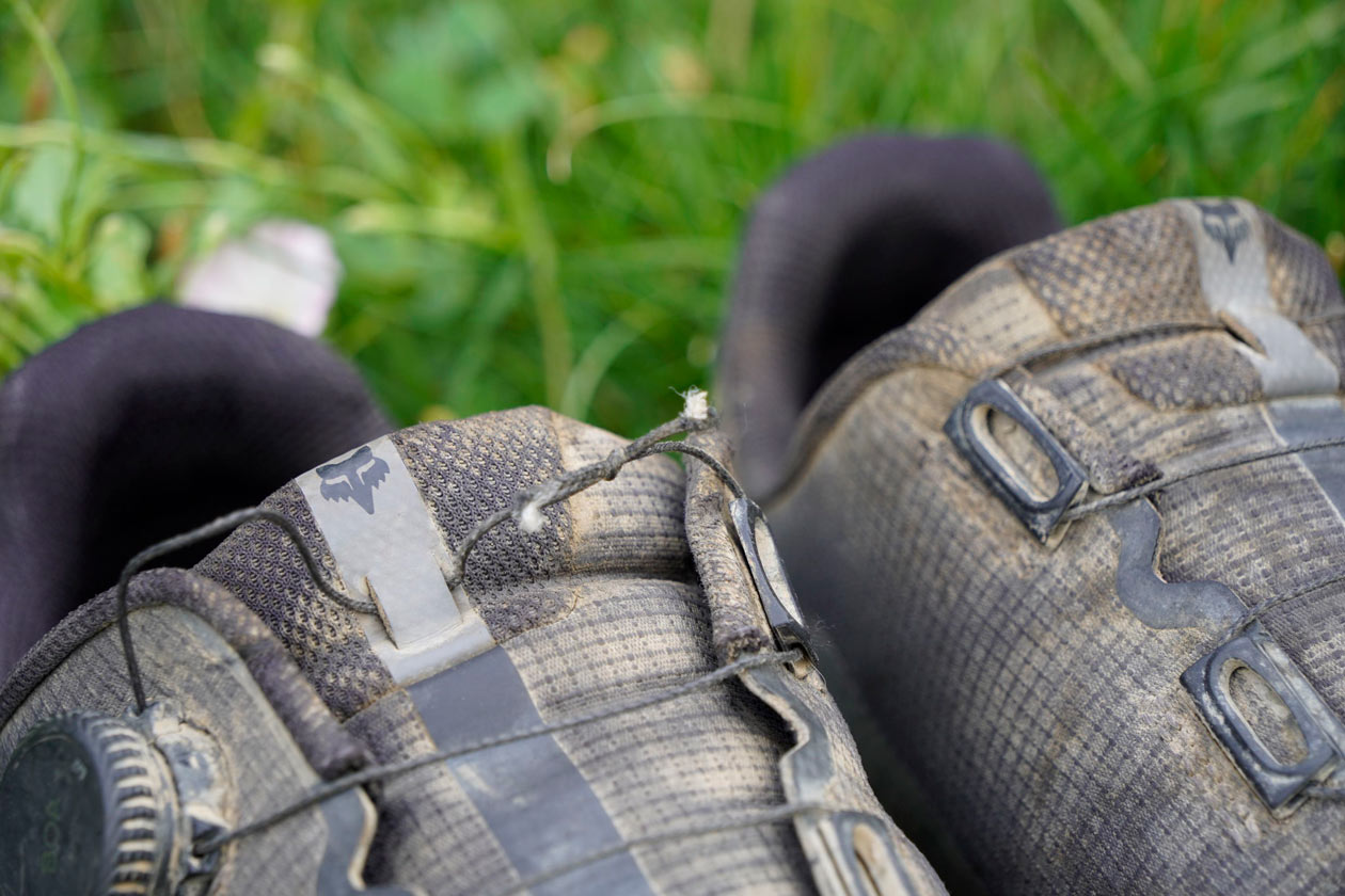 MR-Fox-union-boa-review-5