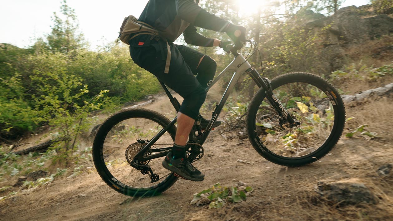 Riding-3 Forbidden Reya Review