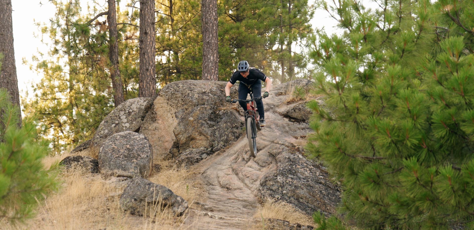 Trek Top Fuel Review